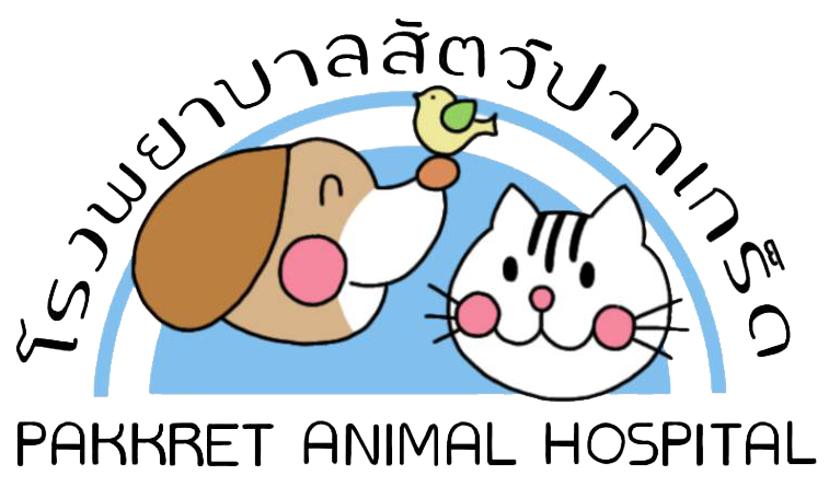 Pakkret Animal Hospital
